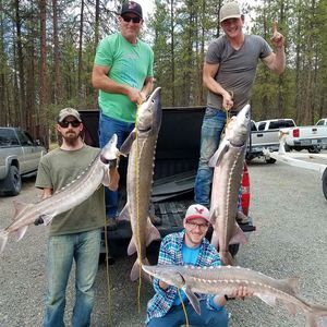 Meet your Posher, Perry